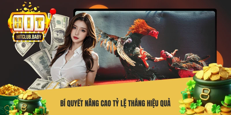 Đá Gà Thomo - Cách Chơi Và Bí Quyết Thắng Lớn - po99.website