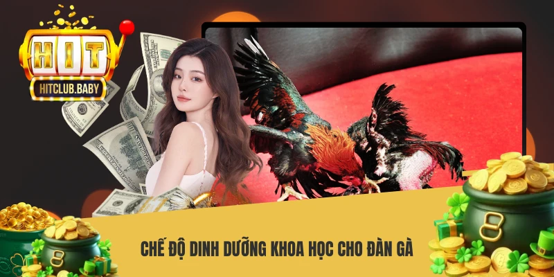 Kỹ Thuật Nuôi Gà - Bí Quyết Thành Công Trong Năm 2026 - po99.website