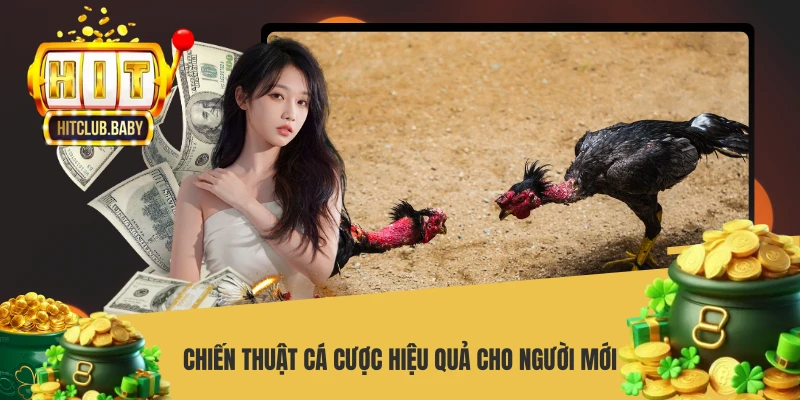 Đá Gà Tre - Bí Quyết Chiến Thắng Từ Cao Thủ HITCLUB - po99.website