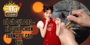 Đá Gà HITCLUB - Dễ Cược Thắng Lớn, Kèo Cược Hàng Đầu - po99.website