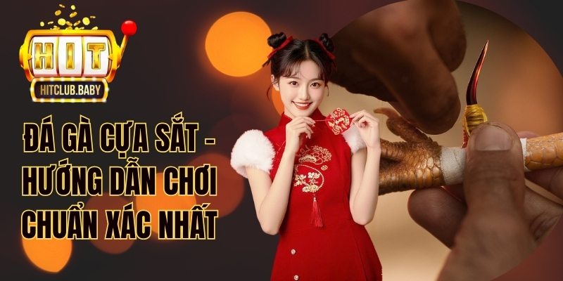 Đá Gà Tre - Bí Quyết Chiến Thắng Từ Cao Thủ HITCLUB - po99.website
