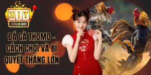 Đá Gà HITCLUB - Dễ Cược Thắng Lớn, Kèo Cược Hàng Đầu - po99.website