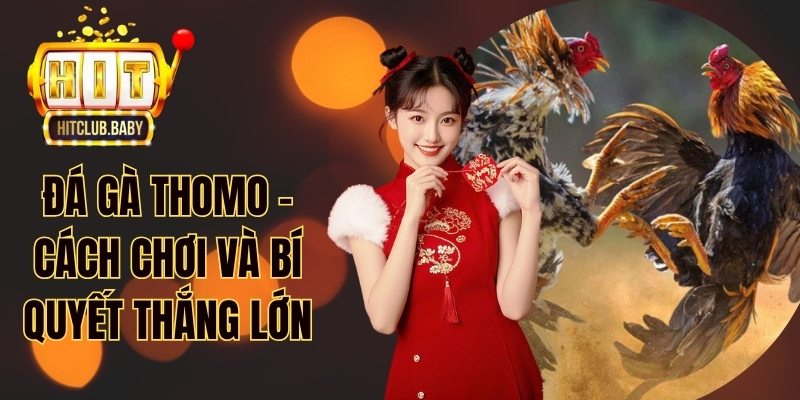 Đá Gà Tre - Bí Quyết Chiến Thắng Từ Cao Thủ HITCLUB - po99.website
