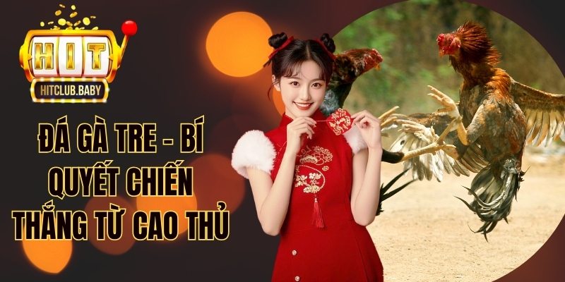 Đá Gà Thomo - Cách Chơi Và Bí Quyết Thắng Lớn - po99.website