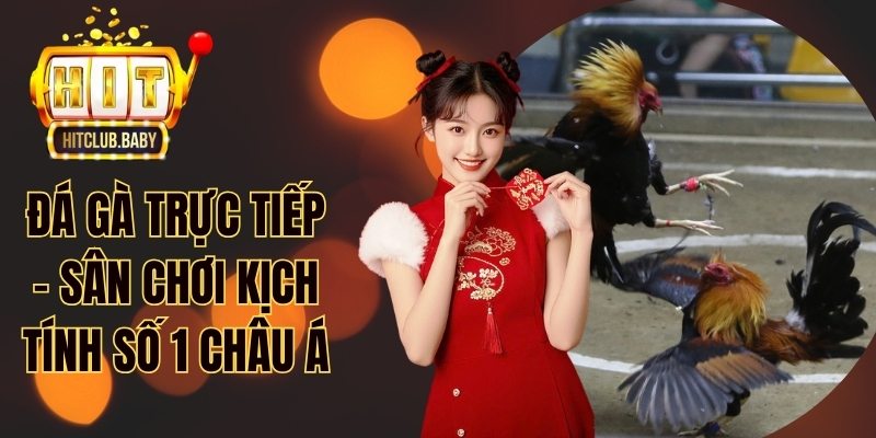 Đá Gà Tre - Bí Quyết Chiến Thắng Từ Cao Thủ HITCLUB - po99.website