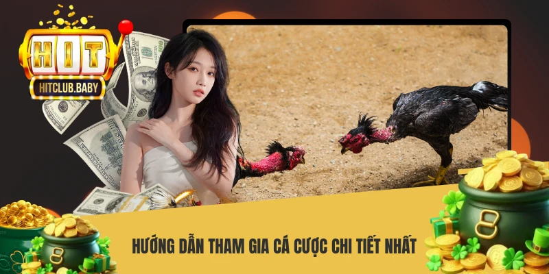 Đá Gà Thomo - Cách Chơi Và Bí Quyết Thắng Lớn - po99.website