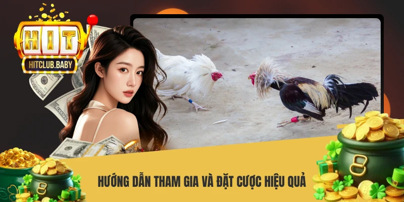 Đá Gà Trực Tiếp - Sân Chơi Kịch Tính Số 1 Châu Á - po99.website