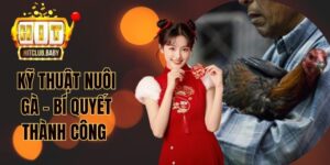 Đá Gà HITCLUB - Dễ Cược Thắng Lớn, Kèo Cược Hàng Đầu - po99.website