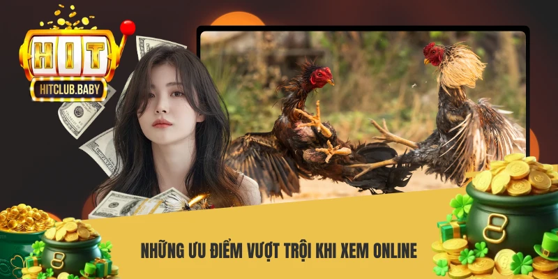 Đá Gà Trực Tiếp - Sân Chơi Kịch Tính Số 1 Châu Á - po99.website