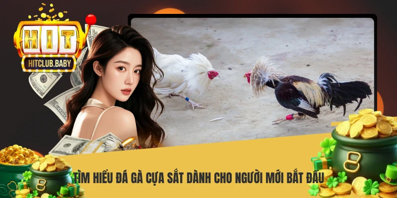 Đá Gà Cựa Sắt - Hướng Dẫn Chơi Chuẩn Xác Nhất - po99.website