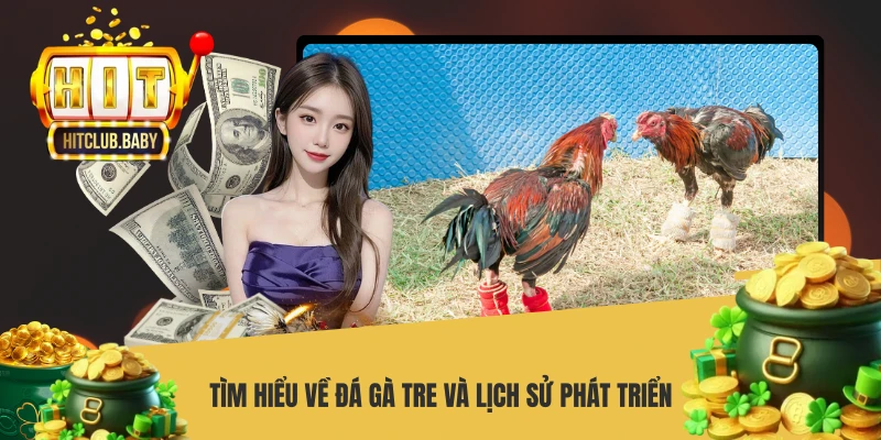 Đá Gà Tre - Bí Quyết Chiến Thắng Từ Cao Thủ HITCLUB - po99.website