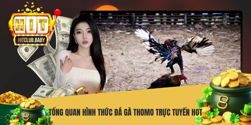 Đá Gà Thomo - Cách Chơi Và Bí Quyết Thắng Lớn - po99.website
